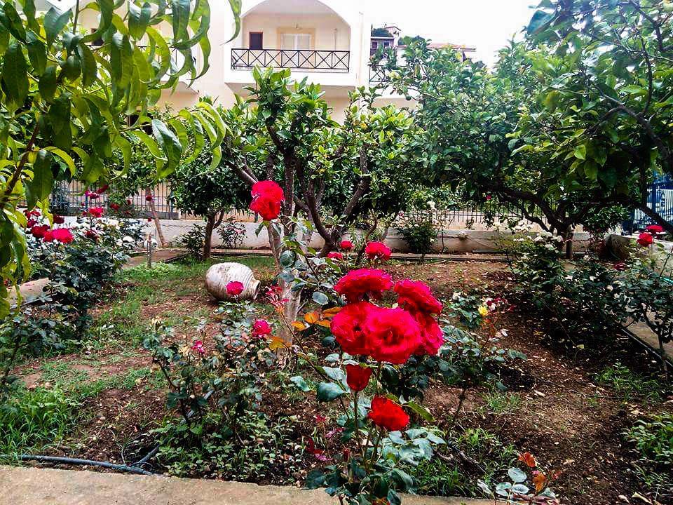 Apartment Christina Perlia Poros Town
